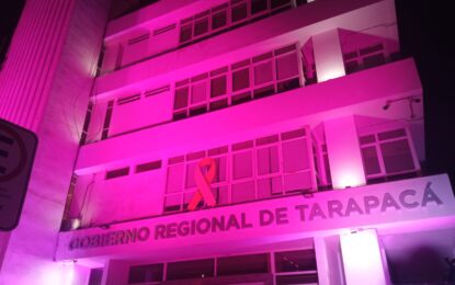 Iluminaron de color rosado el Gobierno Regional   y la Delegación Presidencial en la ciudad de Iquique