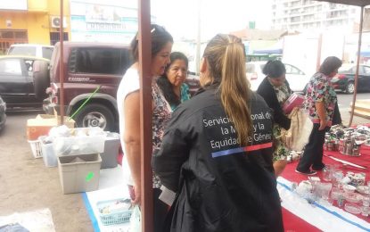 Sernameg difundió Agenda de Género y  programas en Feria Itinerante de Iquique