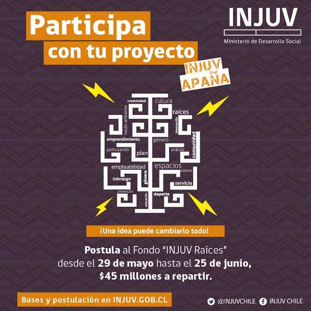 POSTULA CON TU PROYECTO AL NUEVO FONDO CONCURSABLE  INJUV  RAÍCES 2017