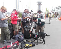 SAG despidió a su  can detector “Nhala”