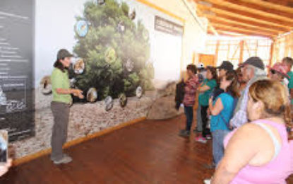 Vecinos de Taltal de programa Quiero Mi  Barrio finalizan visita a la región