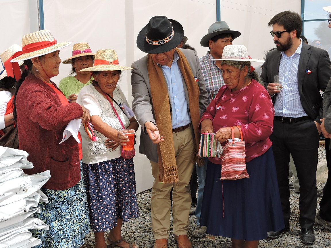 En Chintaguay la Asociación Indígena Marka Masis apoyada por CONADI inauguró proyecto de riego para dos invernaderos de 5.000 m2