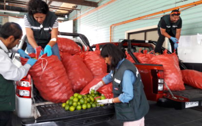 Carabineros y SAG logran importante  decomiso de limones