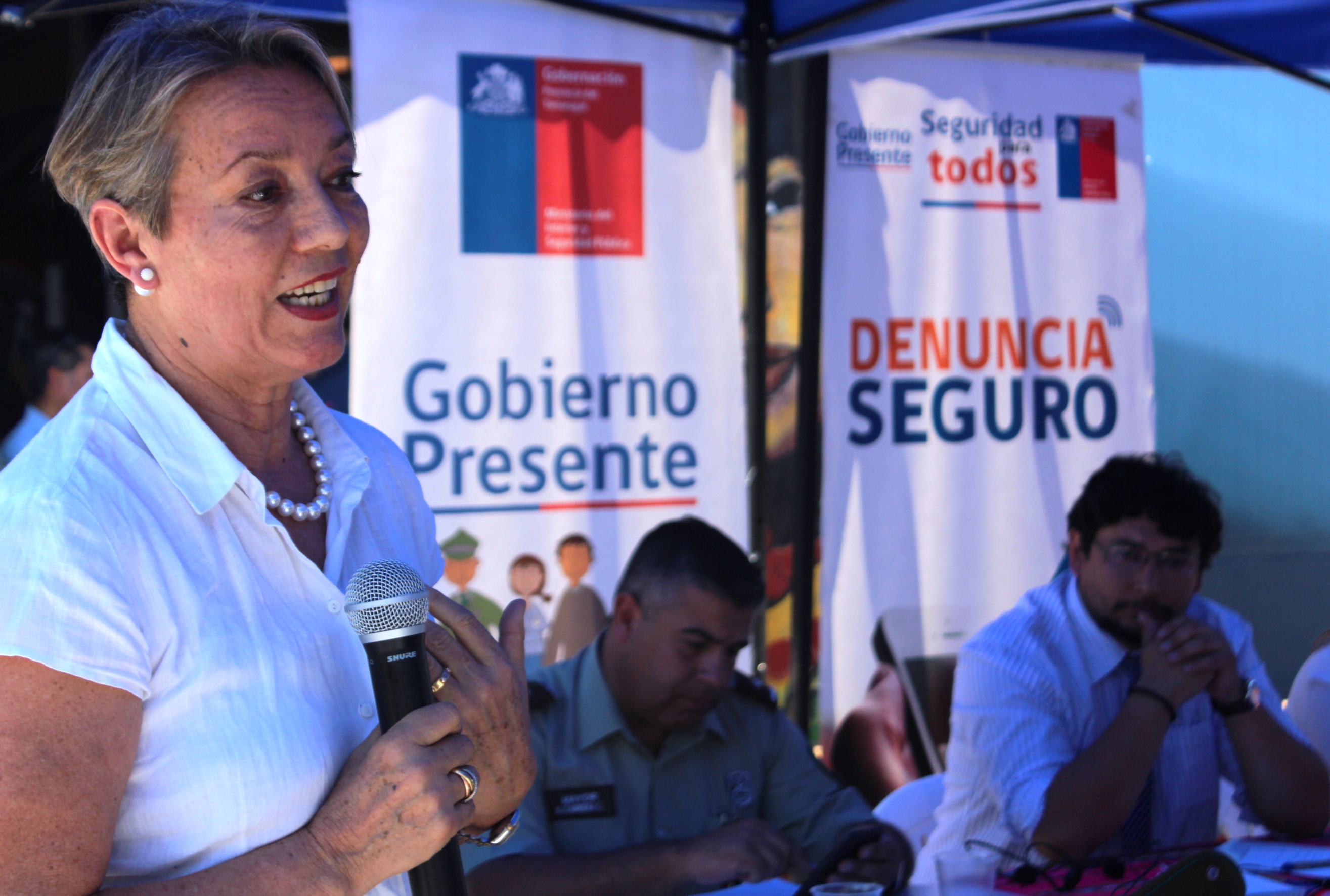 Seremi de Gobierno, Ana María Tiemann, define trabajo para fortalecer desarrollo regional