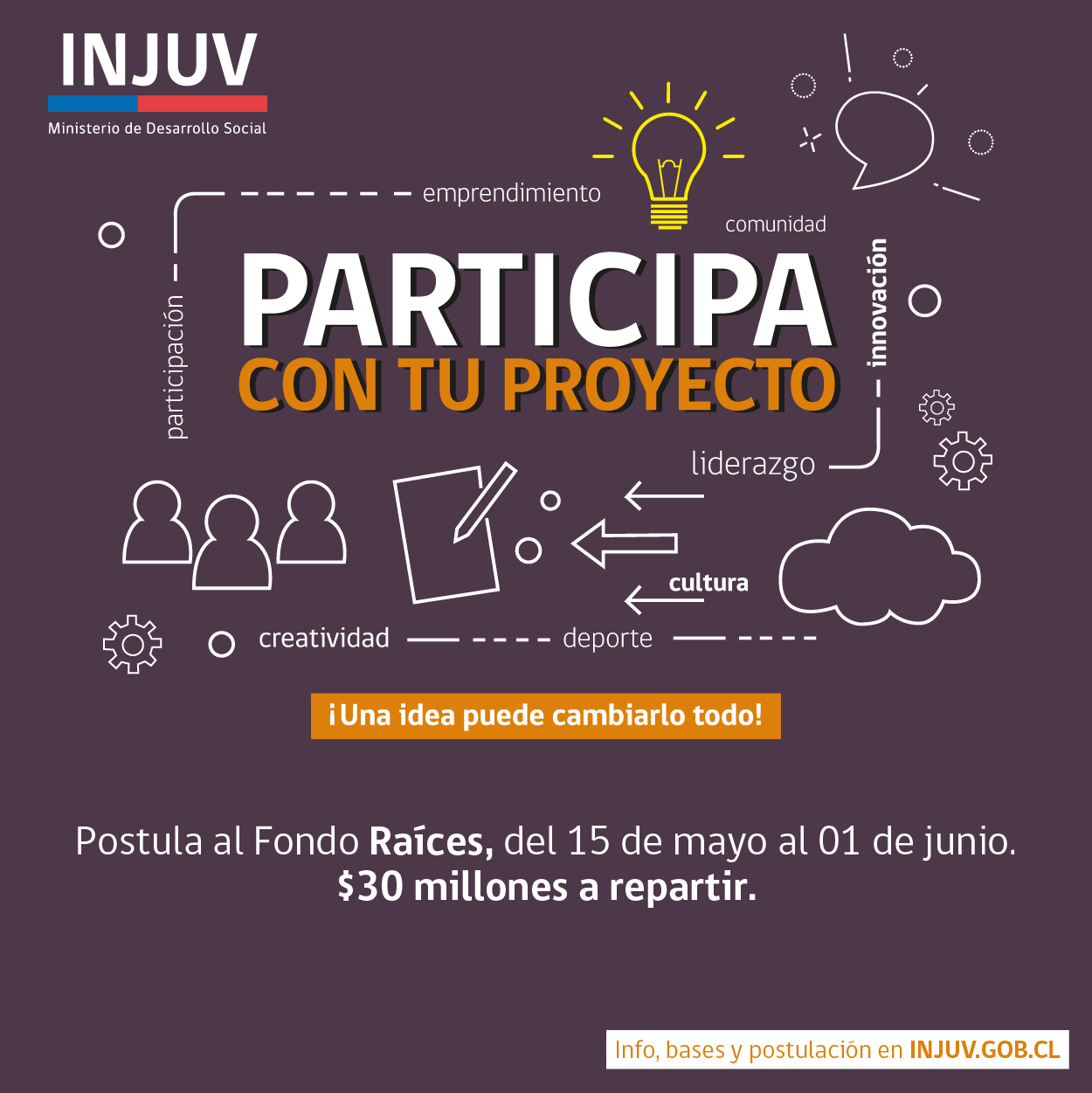 POSTULA CON TU PROYECTO AL NUEVO FONDO CONCURSABLE “INJUV  RAÍCES 2018”