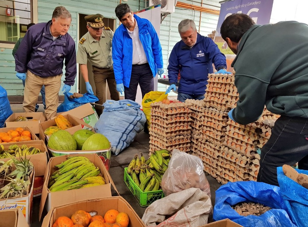 SAG y Carabineros desbaratan nuevo centro  de acopio de productos agropecuarios   