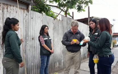 SAG despliega campaña de erradicación  de Mosca de la Fruta en Iquique   