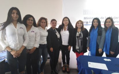 Seremi de la MujeryEG se reunió con integrantes   de agrupaciones WIM y Mujer Minera Tarapacá