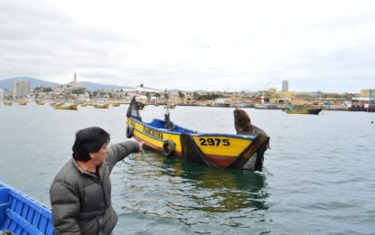 PRESENTARÁN RESULTADOS DE ESTUDIO SOBRE INTERACCIÓN ENTRE LOBOS MARINOS Y LA PESCA ARTESANAL