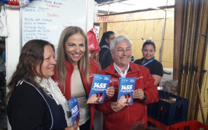 Ministra Plá descubrió el lienzo del Fono  1455 en el Centro Comercial Agro Sur   