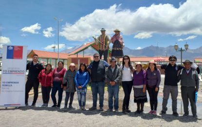 QUINCE INICIATIVAS DE EMPRENDIMIENTO SERAN APOYADAS EN COLCHANE