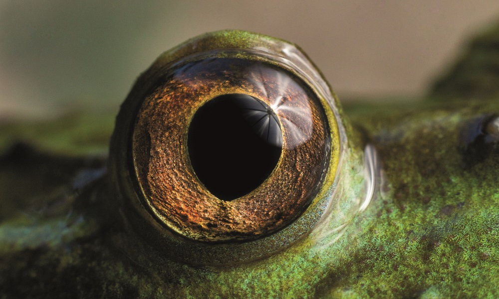 Últimos días para participar en el Concurso Fotográfico Ojo de Pez 2019