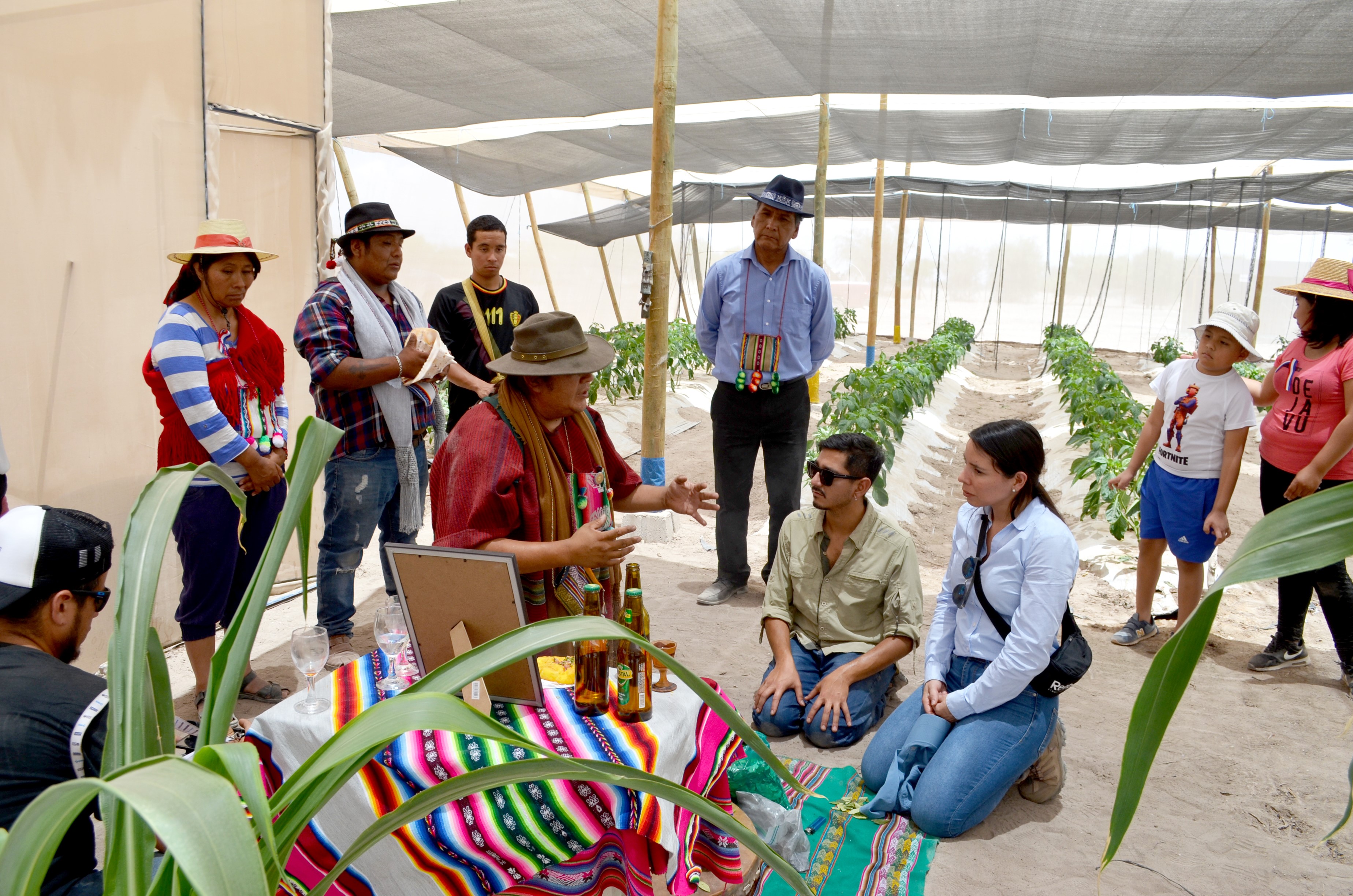 En Tarapacá – Conadi financia a agricultores Aymaras pioneros en sembrar pimentones con sistema avanzado de riego