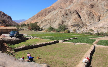 Ministerio de Agricultura realizó importante anuncio para apoyar la agricultura familiar campesina  