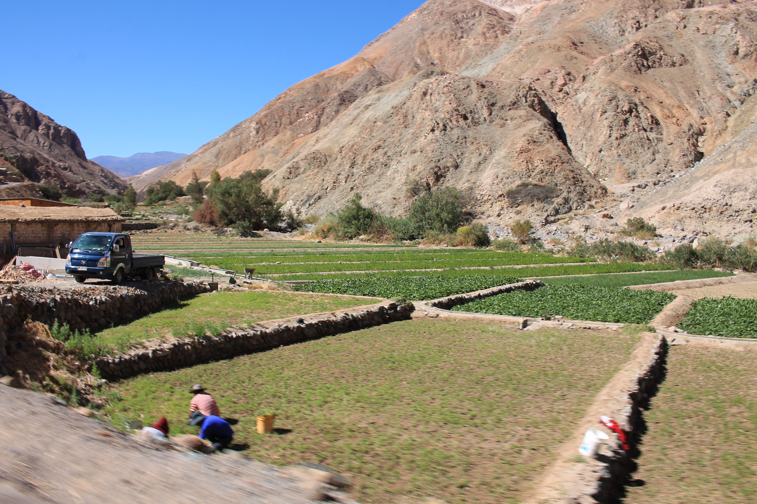 Ministerio de Agricultura realizó importante anuncio para apoyar la agricultura familiar campesina  