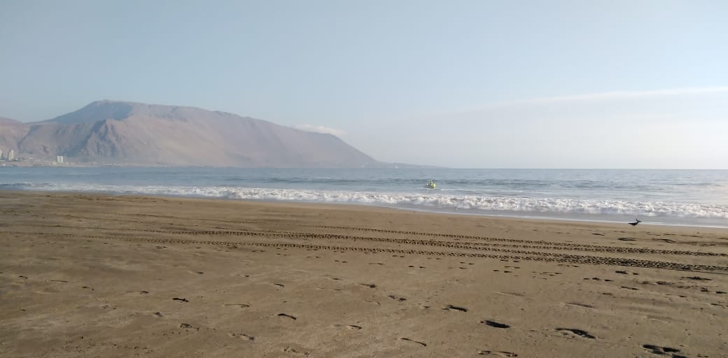 ALCALDE MAURICIO SORIA RECORRIÓ PLAYA BRAVA TRAS DENUNCIA DE FILTRACIÓN DE AGUAS SERVIDAS