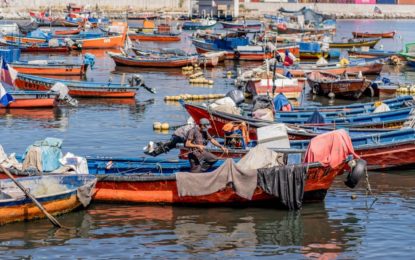 Presentan resultados de proyectos que impulsan un mayor aprovechamiento de recursos extraídos por los pescadores de Caleta Riquelme