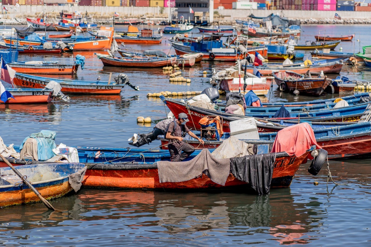 Presentan resultados de proyectos que impulsan un mayor aprovechamiento de recursos extraídos por los pescadores de Caleta Riquelme