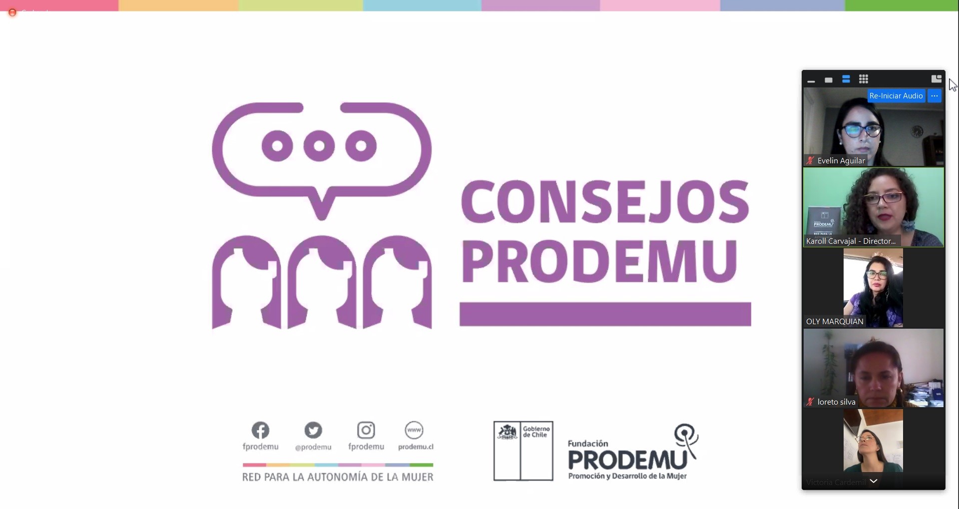 Informe de PRODEMU revela brechas de género que se acrecentaron durante la pandemia en Tarapacá