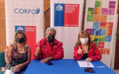 Economía, a través de Corfo, subsidian a 28 pymes creativas en la región