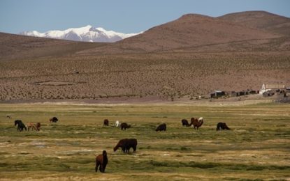 SAG e IICA realizarán seminario internacional sobre Sustentabilidad Agroambiental de Suelos Agropecuarios en América, cambio climático y Objetivos de Desarrollo Sostenible