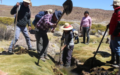 Colchane se adjudica siete proyectos de recuperación de suelos degradados en que se utilizará técnicas ancestrales