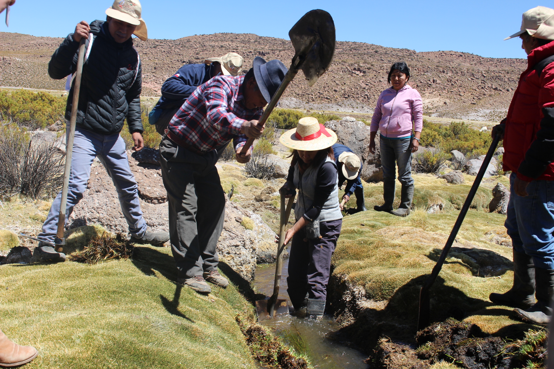 Colchane se adjudica siete proyectos de recuperación de suelos degradados en que se utilizará técnicas ancestrales