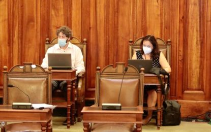 Consulta Indígena de la Convención Constitucional llegará a territorios con procesos de diálogo y deliberación