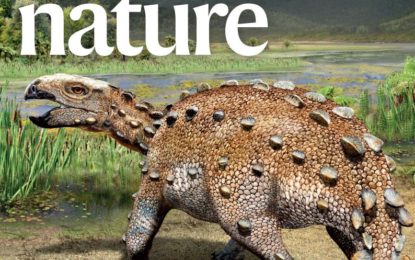 Los más impresionantes descubrimientos de la era de los dinosaurios en Chile