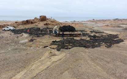 SERNAPESCA INCAUTA 20 TONELADAS DE HUIRO NEGRO EN IQUIQUE