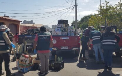 Fuerte arremetida del SAG Tarapacá contra el ingreso clandestino