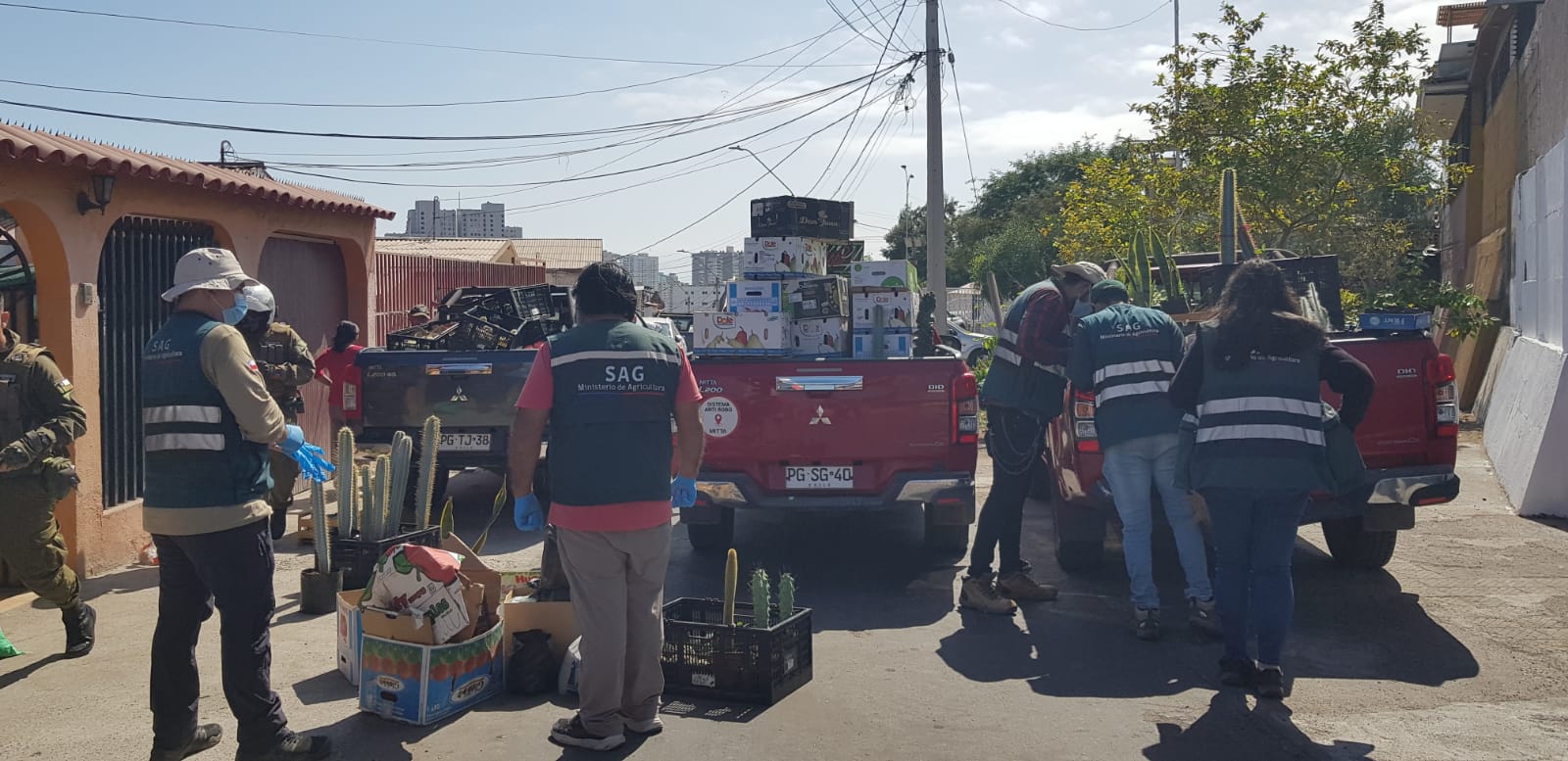 Fuerte arremetida del SAG Tarapacá contra el ingreso clandestino