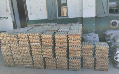 En Colchane decomisan 23 mil unidades de huevos de gallina de ingreso clandestino