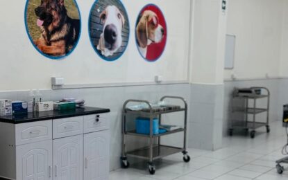 MUNICIPALIDAD DE IQUIQUE INAUGURA CENTRO DE TENENCIA RESPONSABLE CANINO-FELINO