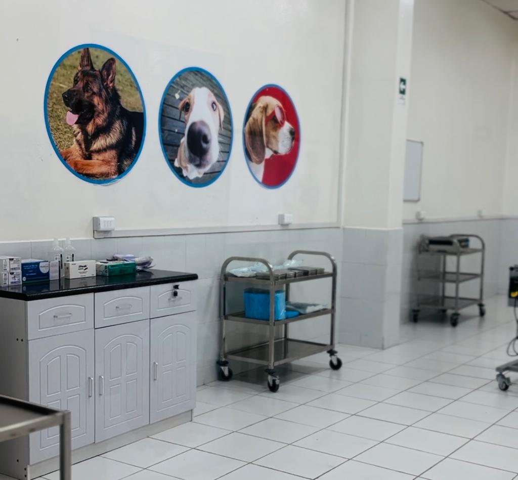 MUNICIPALIDAD DE IQUIQUE INAUGURA CENTRO DE TENENCIA RESPONSABLE CANINO-FELINO