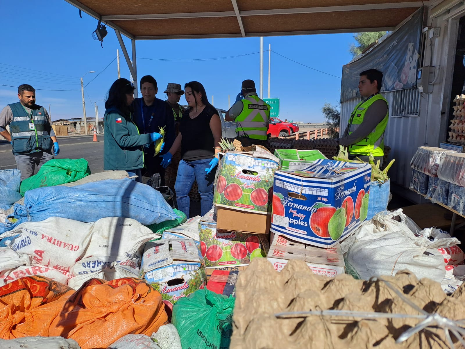 SAG Tarapacá decomisa 10 toneladas de productos agropecuarios y 100 mil unidades de huevos