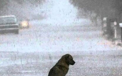 BAJO LA LLUVIA TE ESPERÉ