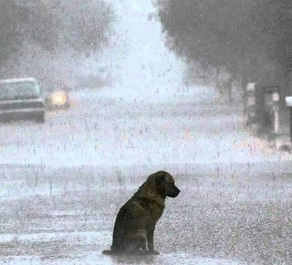 BAJO LA LLUVIA TE ESPERÉ