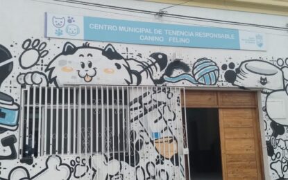 MUNICIPALIDAD DE IQUIQUE OFRECE MIL CUPOS GRATUITOS  PARA ESTERILIZACIÓN FELINA