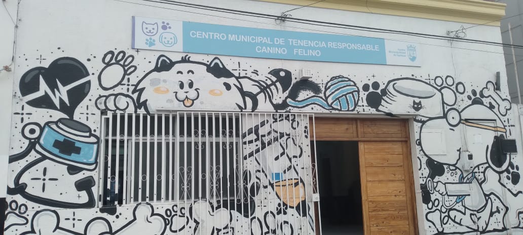 MUNICIPALIDAD DE IQUIQUE OFRECE MIL CUPOS GRATUITOS  PARA ESTERILIZACIÓN FELINA