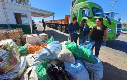 SAG en alerta por vegetales que ingresan ilegalmente a Chile con residuos de plaguicidas prohibidos