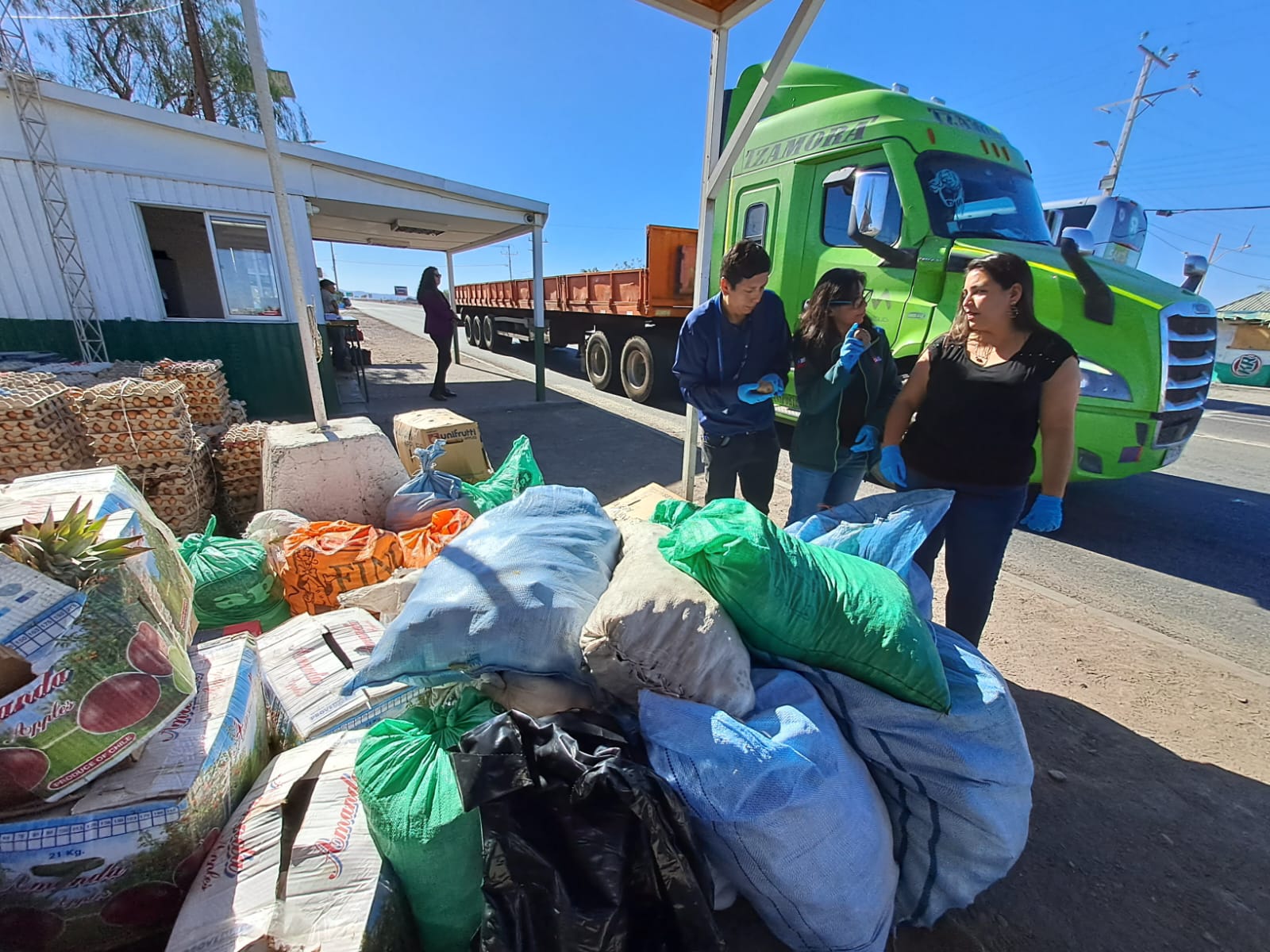 SAG en alerta por vegetales que ingresan ilegalmente a Chile con residuos de plaguicidas prohibidos