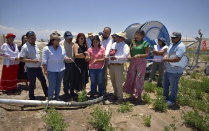 CONADI inauguró innovador sistema de riego en la Pampa del Tamarugal