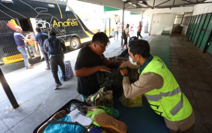 SAG prohíbe la salida de frutas frescas desde la región de Arica y Parinacota por campaña de mosca de la fruta