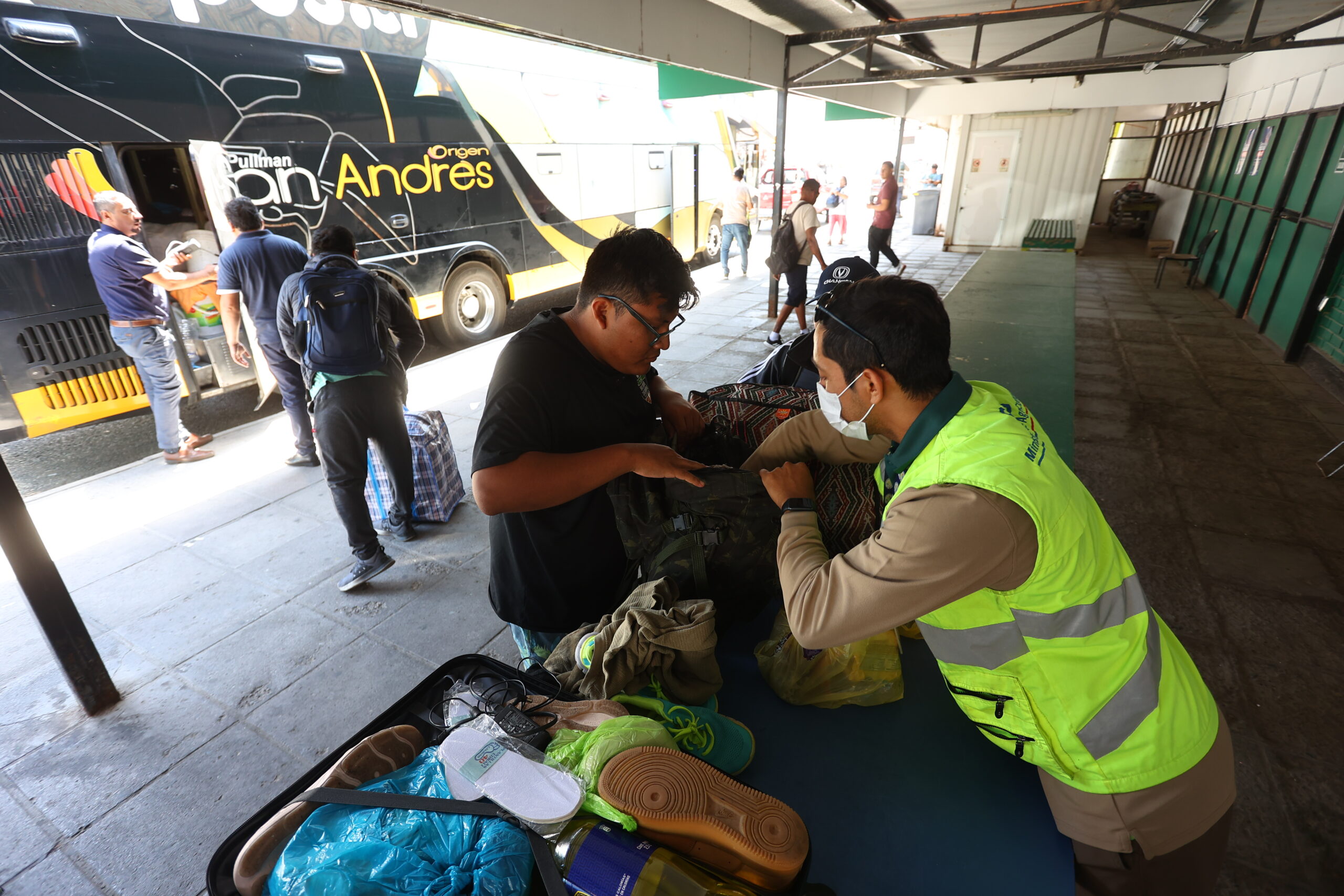 SAG prohíbe la salida de frutas frescas desde la región de Arica y Parinacota por campaña de mosca de la fruta