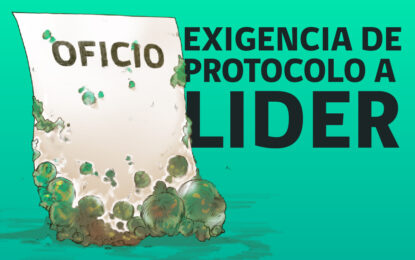 SERNAC EXIGE PROTOCOLOS A SUPERMERCADO LIDER TRAS RECLAMO POR VENTA DE PAN ENVASADO CON HONGOS