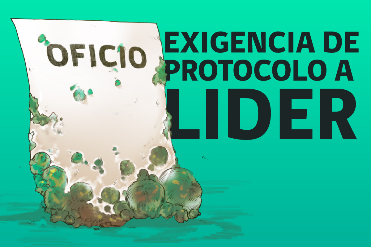 SERNAC EXIGE PROTOCOLOS A SUPERMERCADO LIDER TRAS RECLAMO POR VENTA DE PAN ENVASADO CON HONGOS