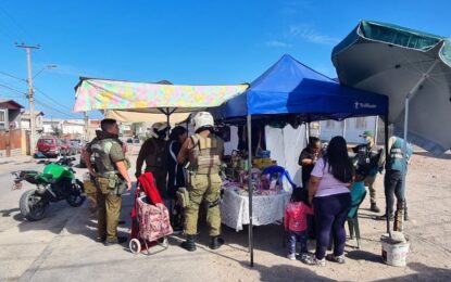 Decomisan 1.200 kilos de productos agropecuarios en fiscalización al comercio informal en Alto Hospicio