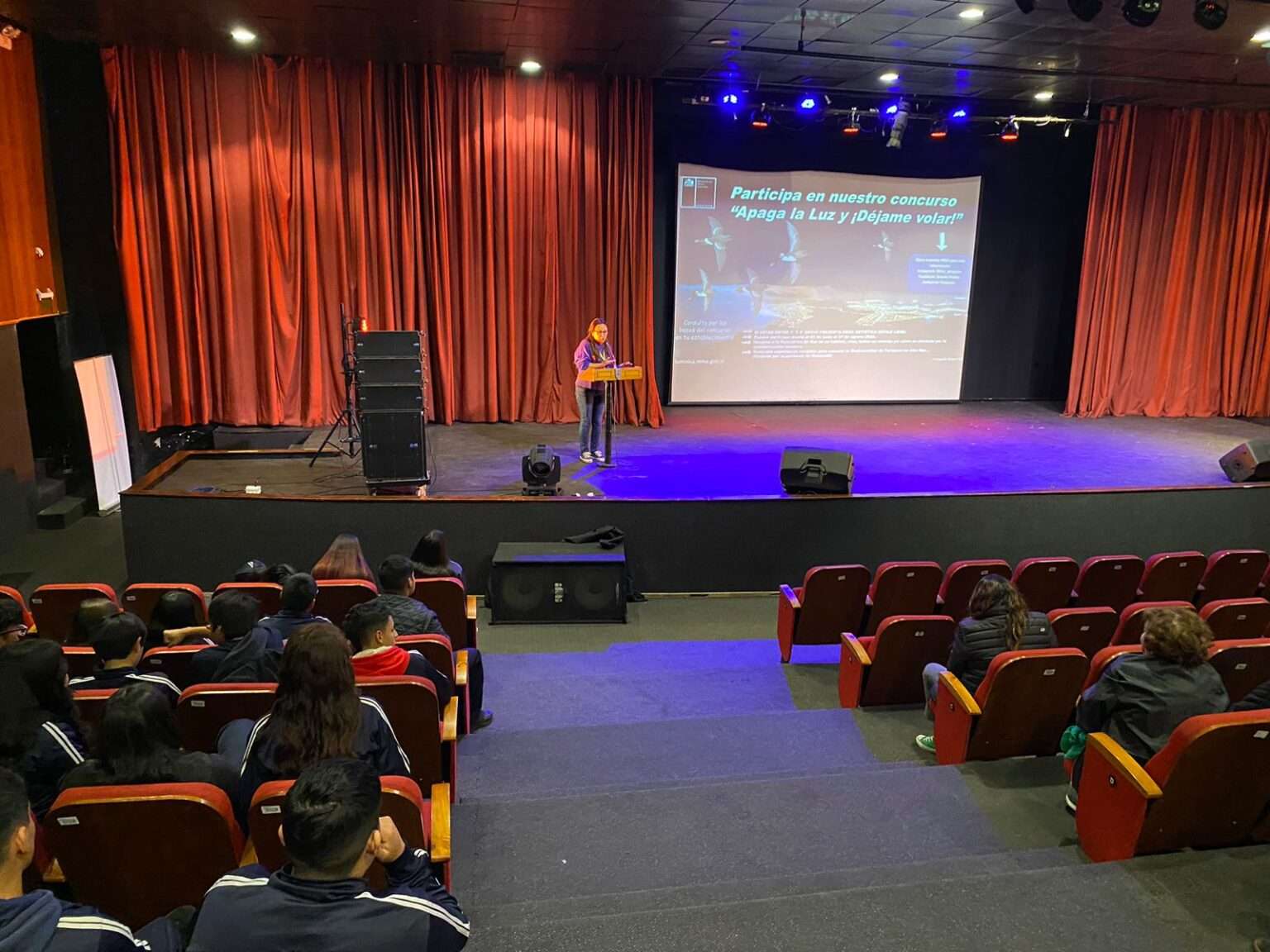 Concurso de lumínica invita a estudiantes de Tarapacá a imaginar el vuelo nocturno de las aves