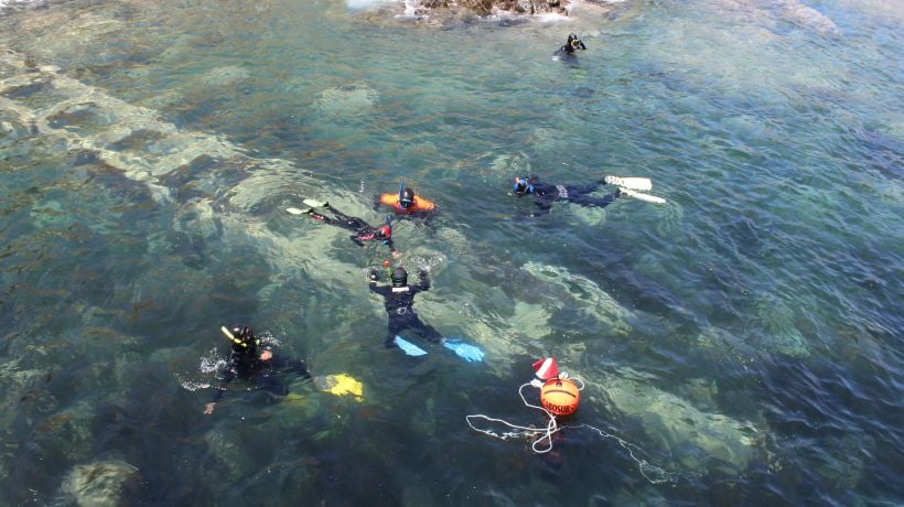 Minera reclama ante el Primer Tribunal Ambiental por la declaración del área protegida Mar de Pisagua